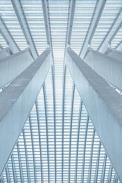 Lines and curves in ultramodern Liège station - Guillemins by Daan Duvillier | Dsquared Photography