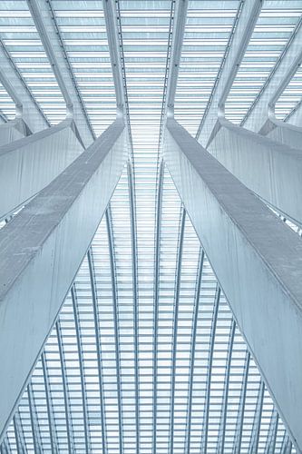 Lignes et courbes dans la gare ultramoderne de Liège - Guillemins