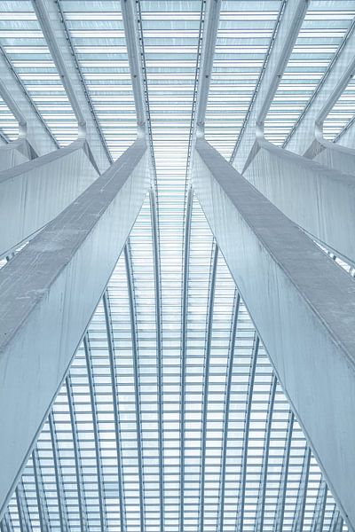 Lignes et courbes dans la gare ultramoderne de Liège - Guillemins par Daan Duvillier | Dsquared Photography