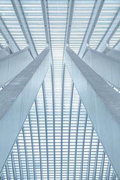 Linien und Kurven im hochmodernen Bahnhof von Lüttich - Guillemins von Daan Duvillier | Dsquared Photography