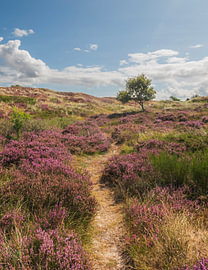 Der Weg zu einer wunderschönen Welt. von Robby's fotografie