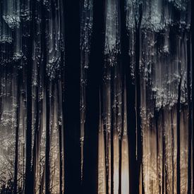 Schmelzende Bäume von Maarten Mooijman