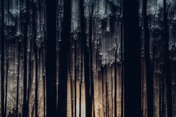 Melting Trees by Maarten Mooijman