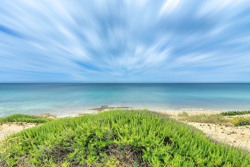 Thymian am Mittelmeer von Frank Kremer