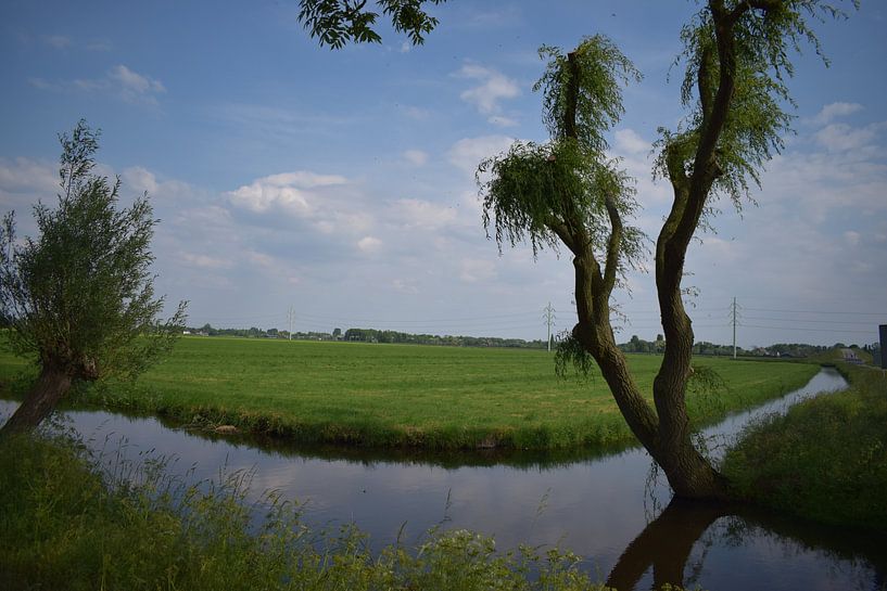 Caractère fantaisiste par Van alles wat