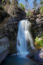 Baring Falls, Glacier National Park, Montana by Frank Fichtmüller thumbnail