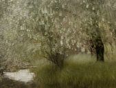 Aan de oever van de rivier van Nel Talen thumbnail
