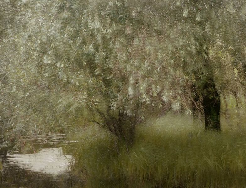 Aan de oever van de rivier van Nel Talen