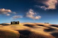 Typisch landschap van Toscane met heuvels en velden in prachtig zonlicht van Voss Fine Art Fotografie thumbnail