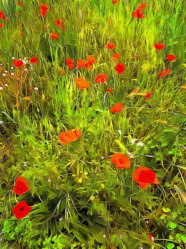 I Dream Of Poppies In Sunshine van Dorothy Berry-Lound