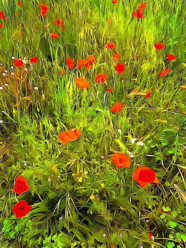 I Dream Of Poppies In Sunshine