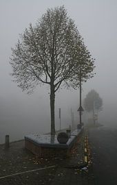 Herfstmist2. by Foto EVC