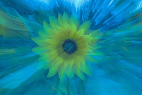 Le Tournesol (ode à Vincent van Gogh) sur Alex van den Akker