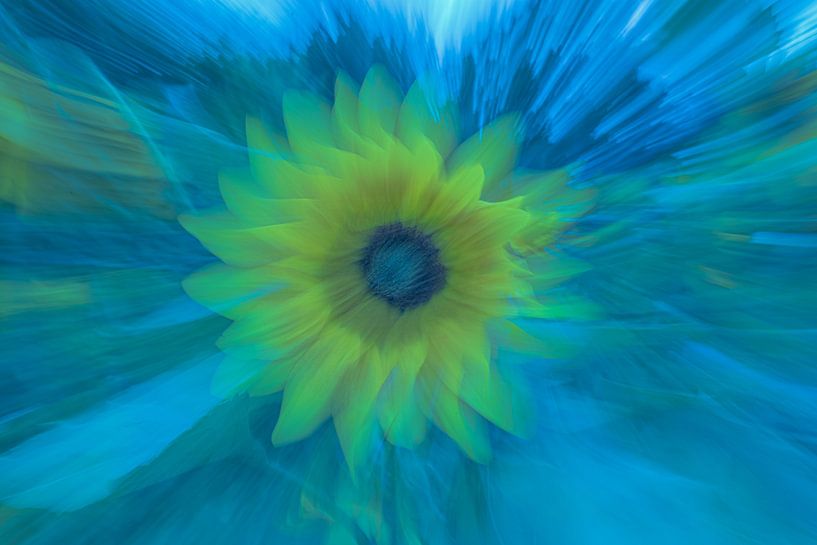 Le Tournesol (ode à Vincent van Gogh) par Alex van den Akker