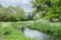 Een schilderachtig tafereel in de lente