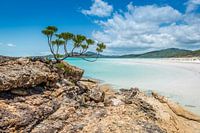 Whitehaven strand op de Whitsundays in Australië