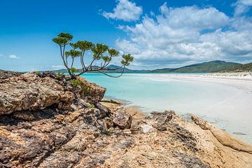 Whitehaven Strand auf den Whitsundays in Australien von Troy Wegman