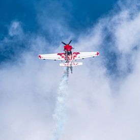 Alleen in de lucht von Albertjan Geertsema