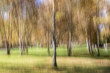 Herfst op de Schwäbische Alb van VIDEOMUNDUM