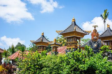 Historic Hindu art in Bali, Indonesia by Markus Gann