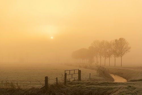 Mistig landschap in de IJsseldelta bij zonsopgang