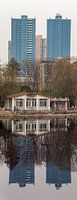 Flatgebouwen bij de plas in het ZhongShanpark