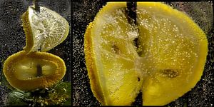 Im Wasserglas - Zitronenscheiben
