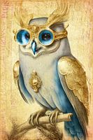 Golden owl