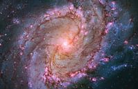 Hubble telescoop foto,s van NASA van Brian Morgan thumbnail