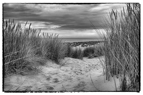Strand von Terschelling
