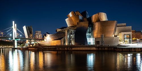 guggenheim museum by night