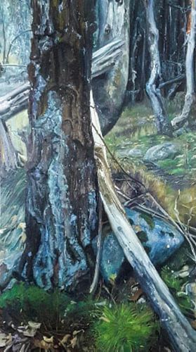 Storm aarde en natuur