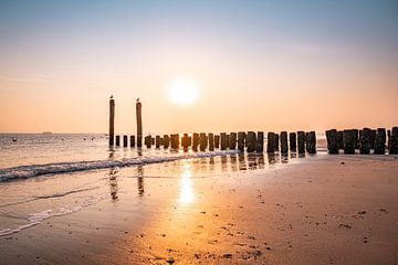 Poteaux de la plage de Flessingue dans un reflet doré au coucher du soleil