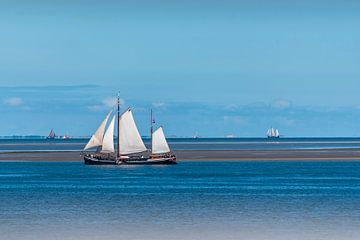 Sailing ship near the Wadden Islands. by Els Oomis