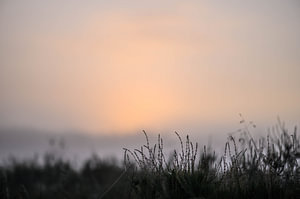 Minimalismus auf der Heide
