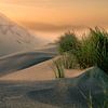 Dunes à l'aube sur Ellen Borggreve