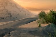 Dunes à l'aube par Ellen Borggreve Aperçu