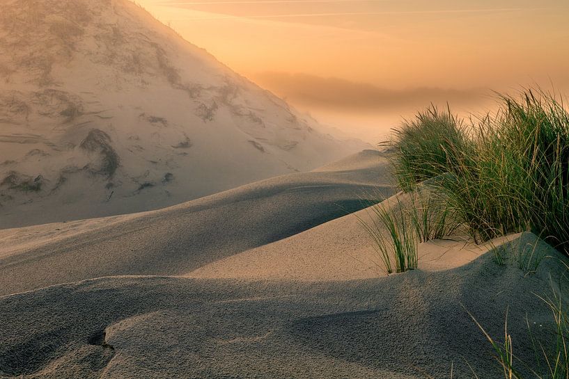 Dunes à l'aube par Ellen Borggreve