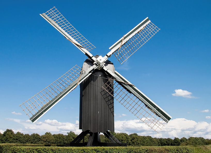 Vestingmolen Bourtange van Klaartje Majoor