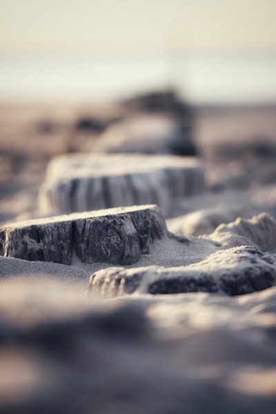 Beach feeling by Bianca Van Steen