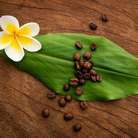 Coffee beans with the Plumeria by Ellis Peeters