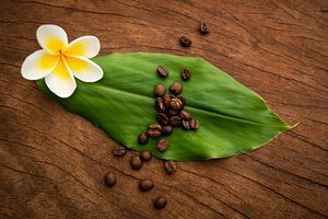 Coffee beans with the Plumeria by Ellis Peeters