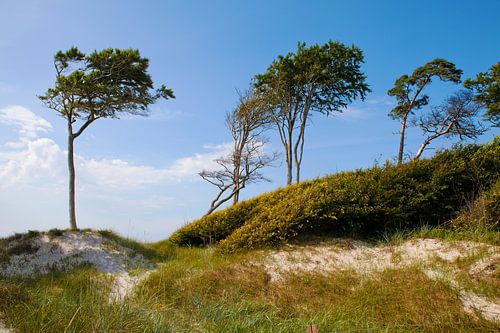 Oostzee: Darß - Weststrand