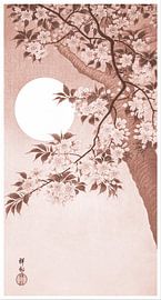 Blühende Kirschblüten im Mondlicht in Puderrosa (Ohara Koson)