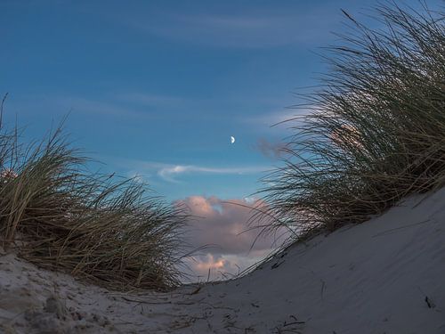 Moon between the Dunes