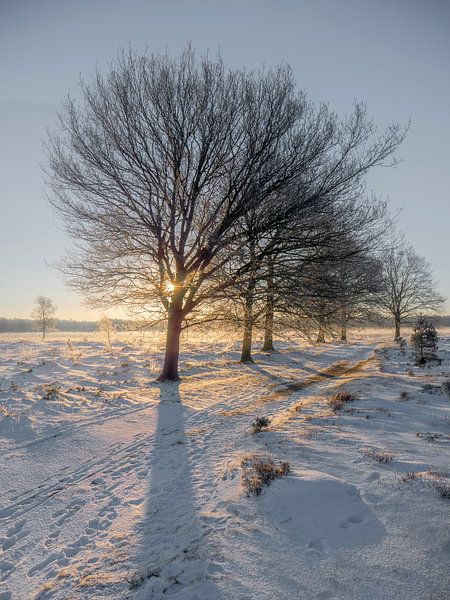 sunrise in a white world portrait mode by Henri van Rheenen