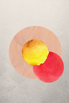 Cirkels in geel, rood en zalm. van by Tessa