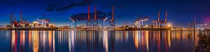 Hamburg Container Terminal in de haven van Hamburg. van Voss Fine Art Fotografie