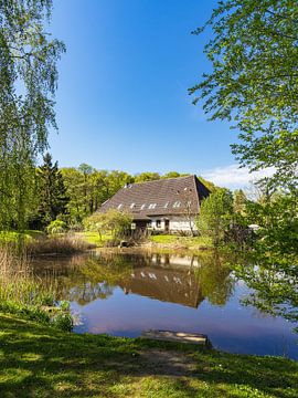 Vijver en huis met bomen in Althof van Rico Ködder