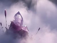 Amethyst in the Mist